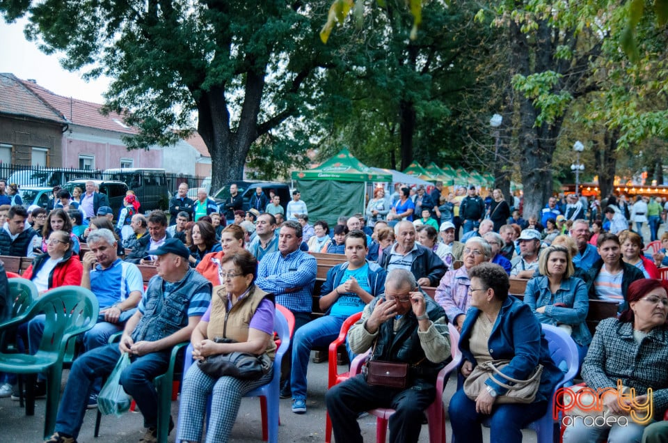 Târgul Pălincarilor, Oradea