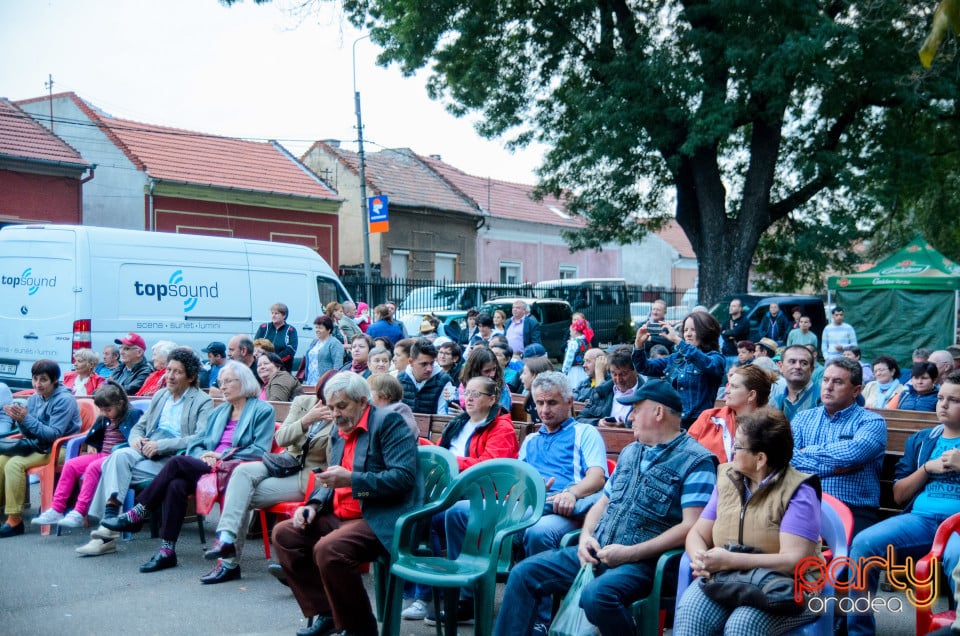 Târgul Pălincarilor, Oradea