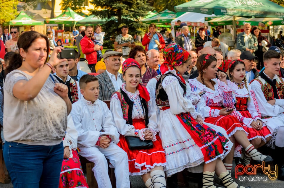 Târgul Pălincarilor, Oradea