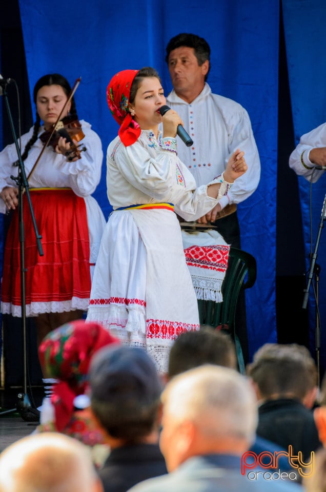 Târgul Pălincarilor, Oradea