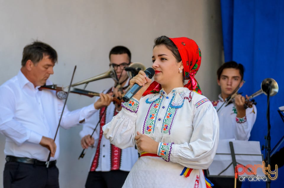 Târgul Pălincarilor, Oradea