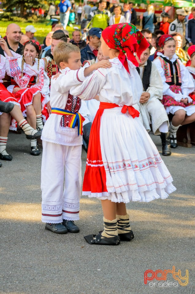 Târgul Pălincarilor, Oradea