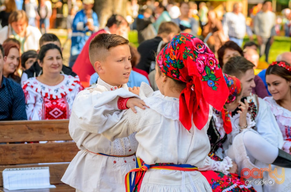 Târgul Pălincarilor, Oradea