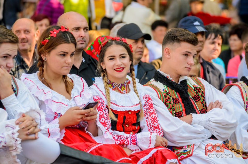 Târgul Pălincarilor, Oradea