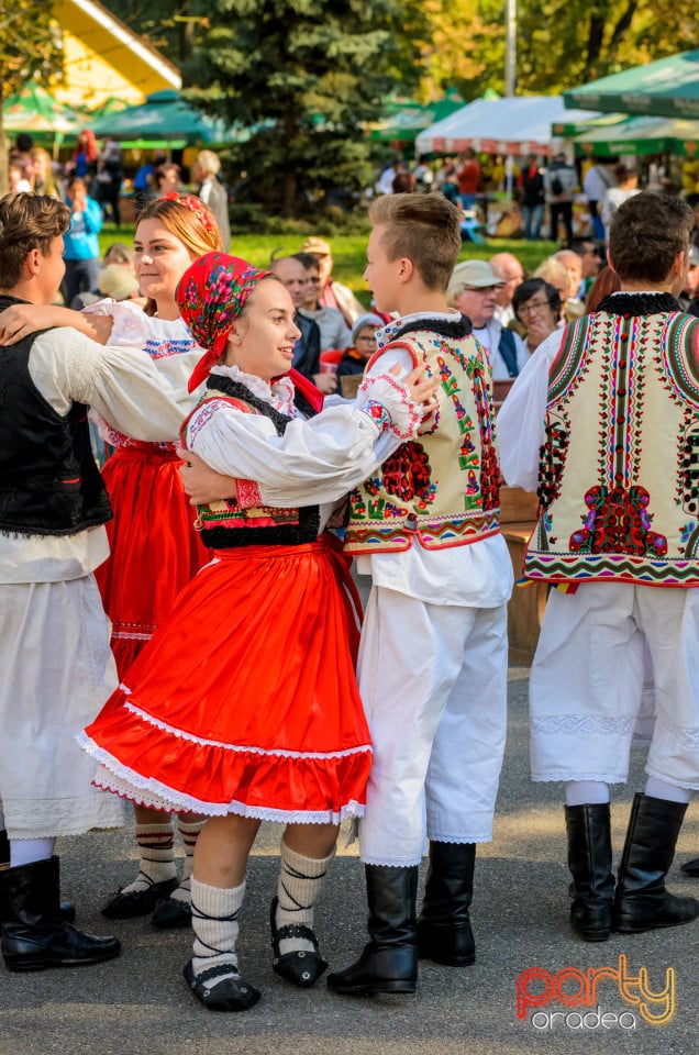 Târgul Pălincarilor, Oradea