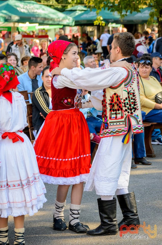 Târgul Pălincarilor, Oradea