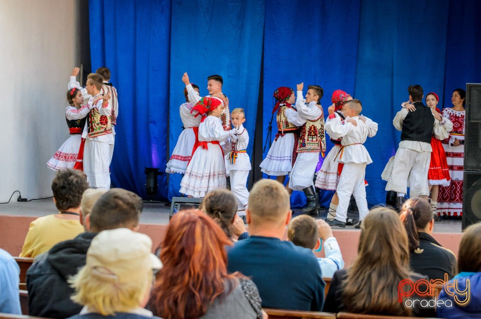 Târgul Pălincarilor, Oradea