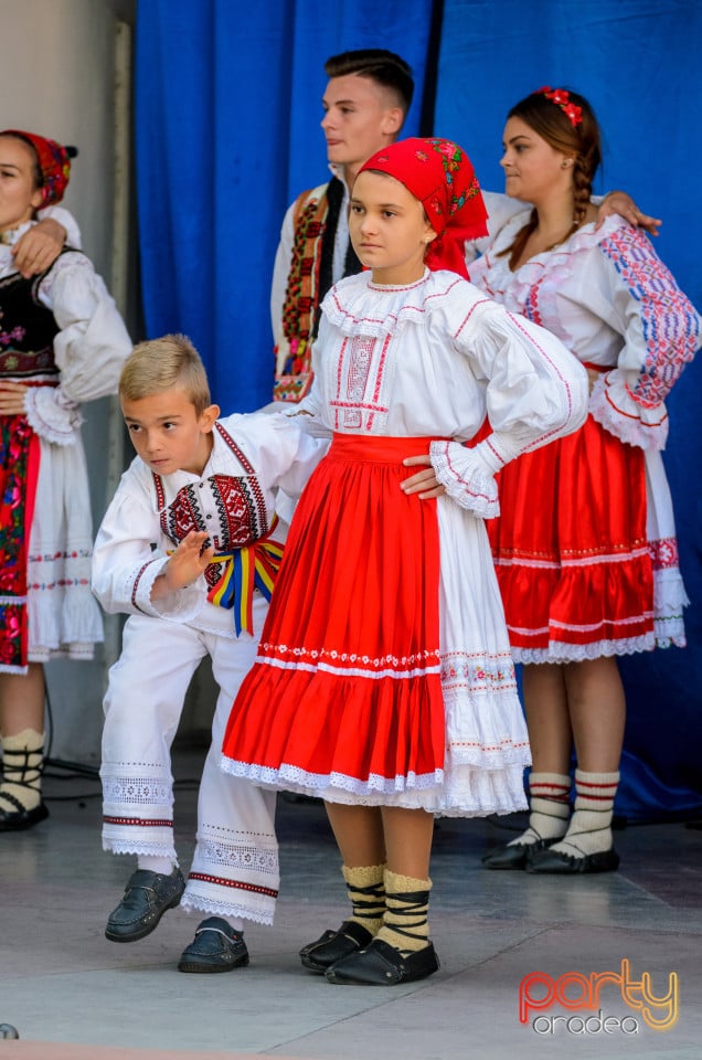 Târgul Pălincarilor, Oradea