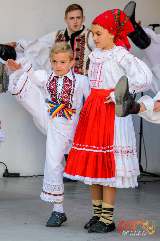 Târgul Pălincarilor, Oradea