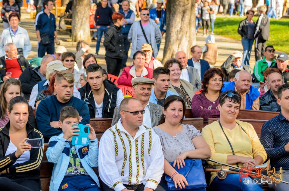 Târgul Pălincarilor, Oradea