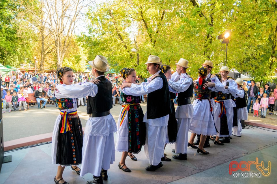 Târgul Pălincarilor, Oradea