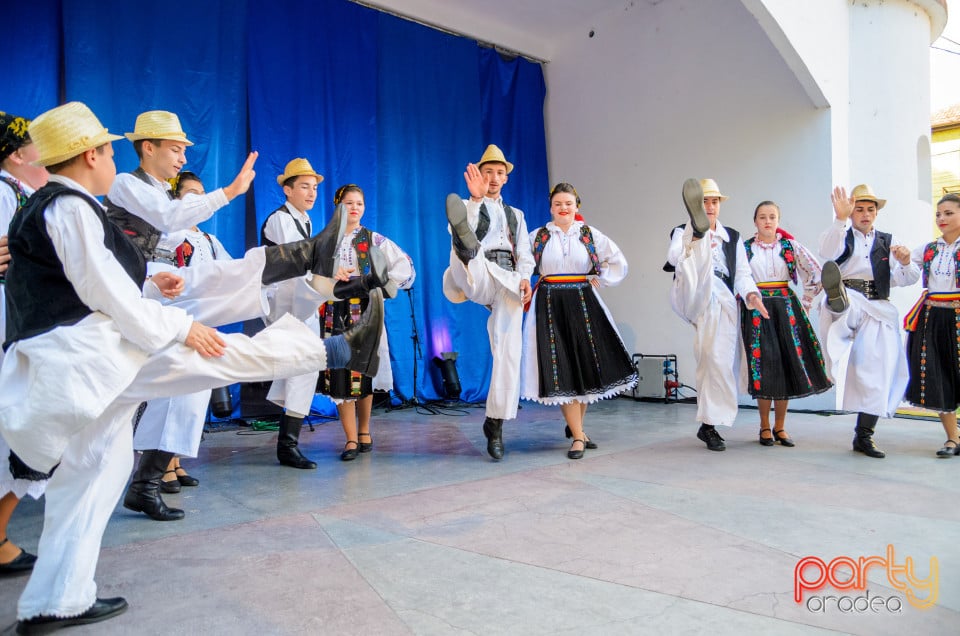 Târgul Pălincarilor, Oradea