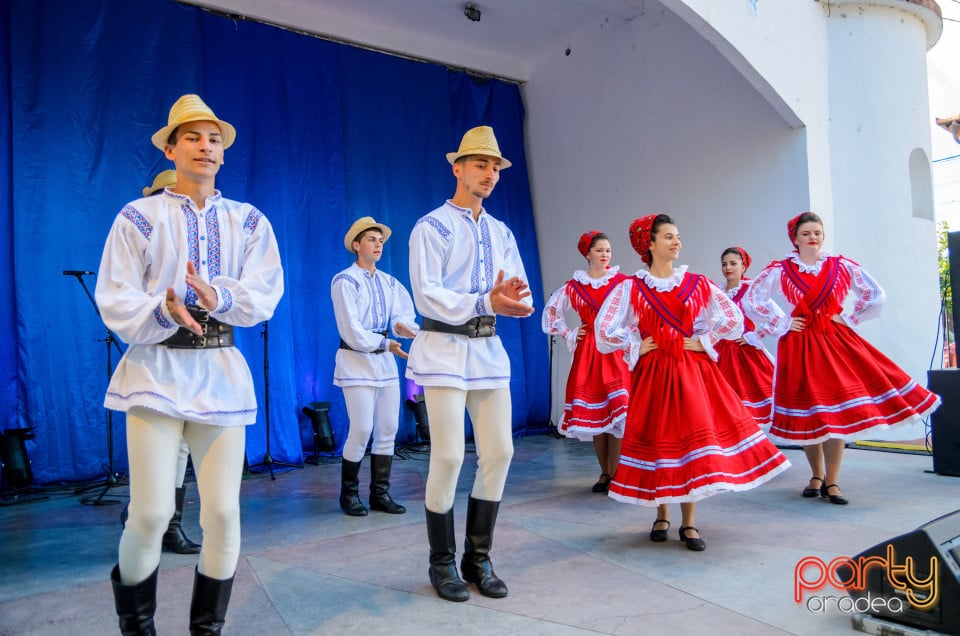 Târgul Pălincarilor, Oradea