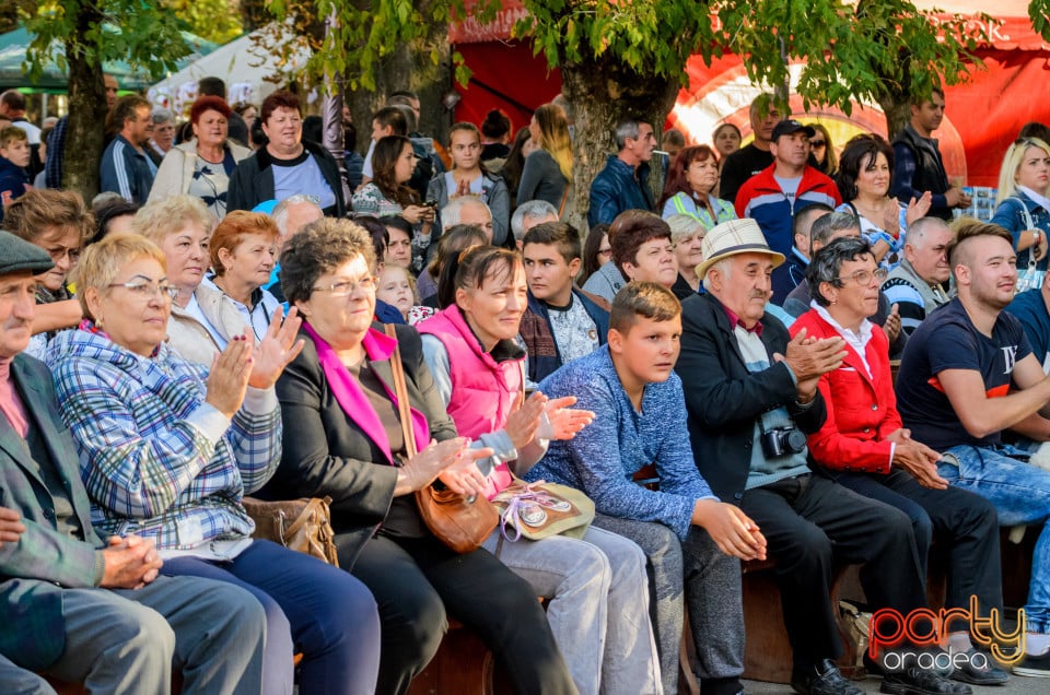 Târgul Pălincarilor, Oradea