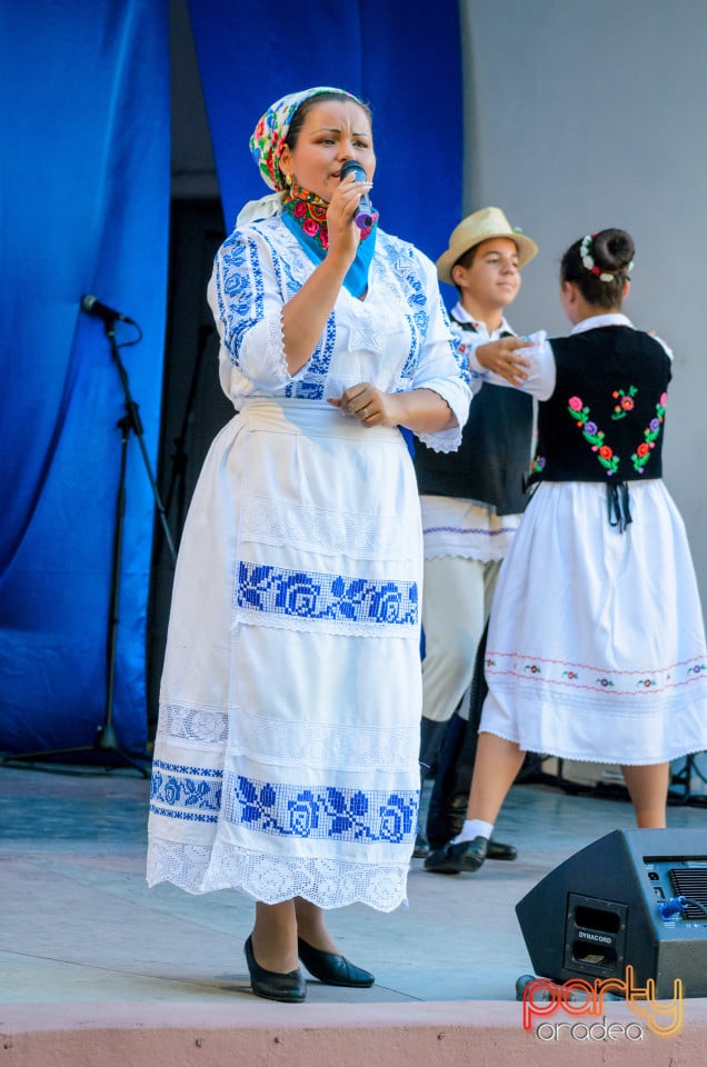 Târgul Pălincarilor, Oradea