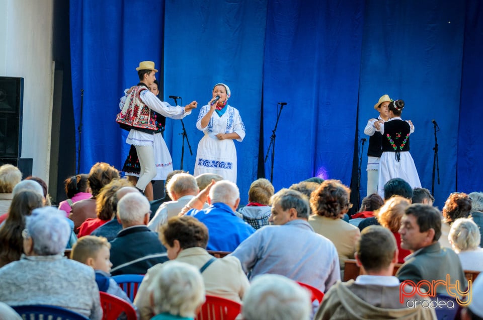 Târgul Pălincarilor, Oradea