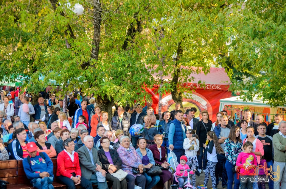 Târgul Pălincarilor, Oradea