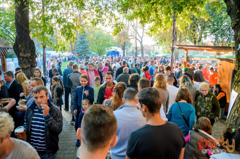 Târgul Pălincarilor, Oradea