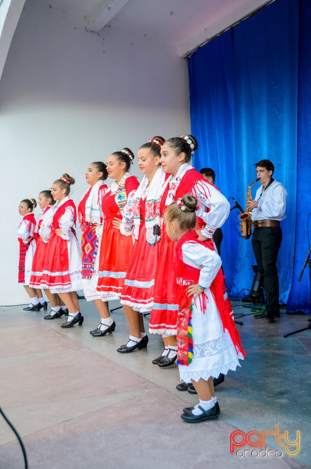 Târgul Pălincarilor, Oradea