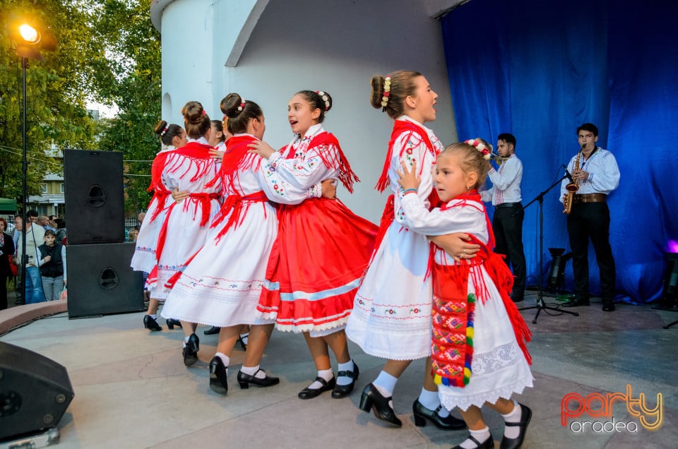 Târgul Pălincarilor, Oradea