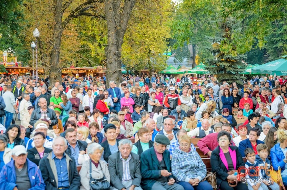 Târgul Pălincarilor, Oradea