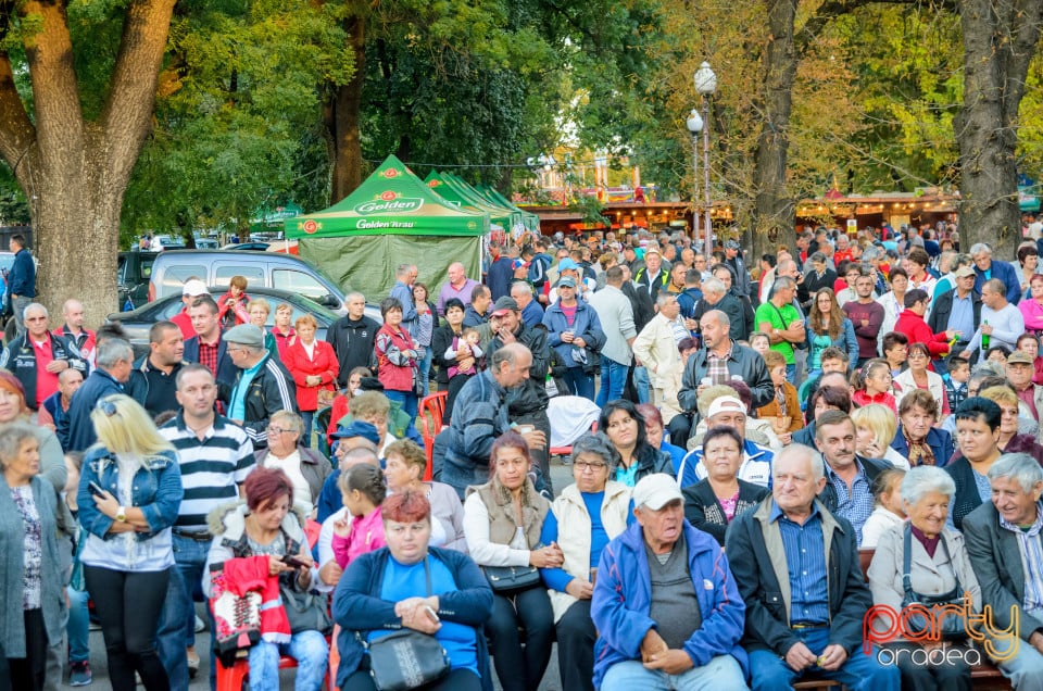 Târgul Pălincarilor, Oradea