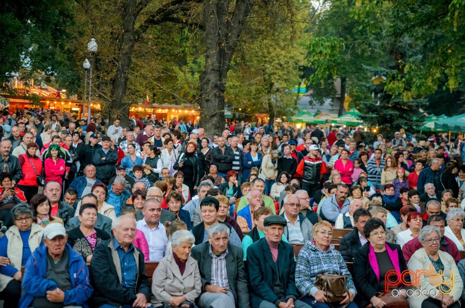 Târgul Pălincarilor, Oradea