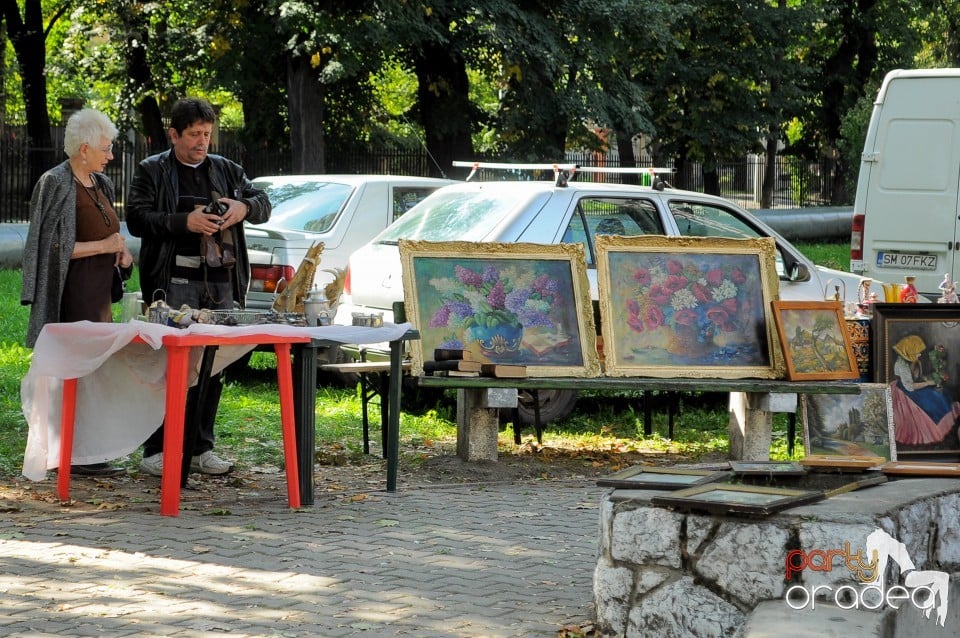 Targul Palincarilor, Oradea