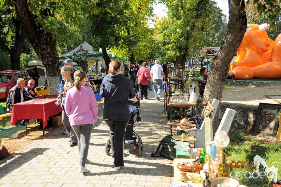 Targul Palincarilor, Oradea