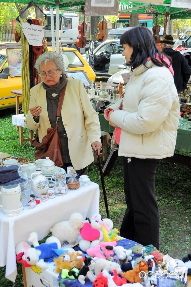 Targul Palincarilor, Oradea