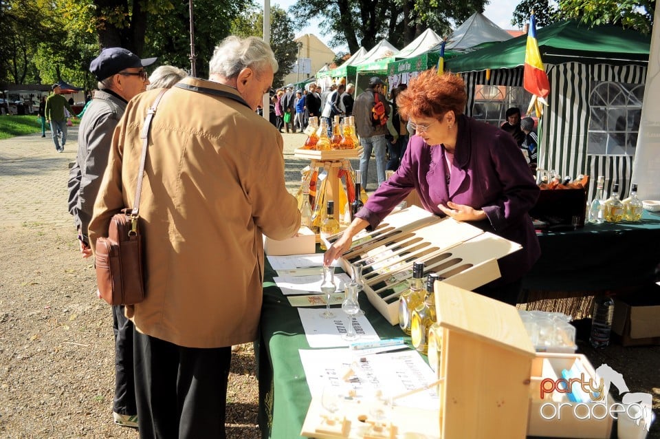 Targul Palincarilor, Oradea