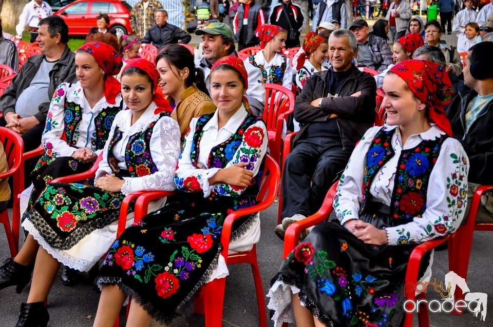 Targul Palincarilor, Oradea