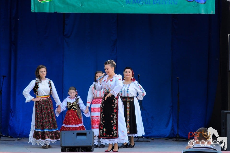 Targul Palincarilor, Oradea