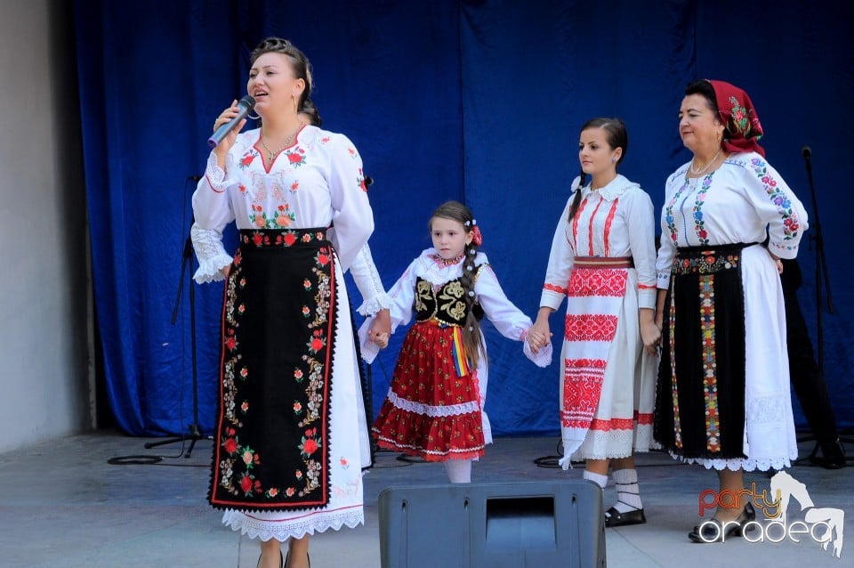 Targul Palincarilor, Oradea