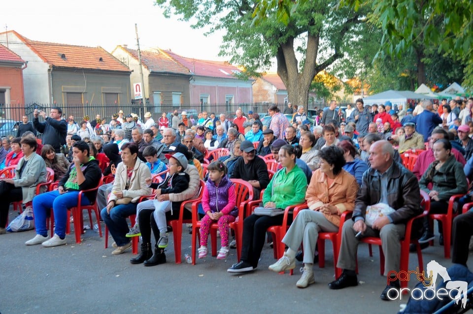 Targul Palincarilor, Oradea