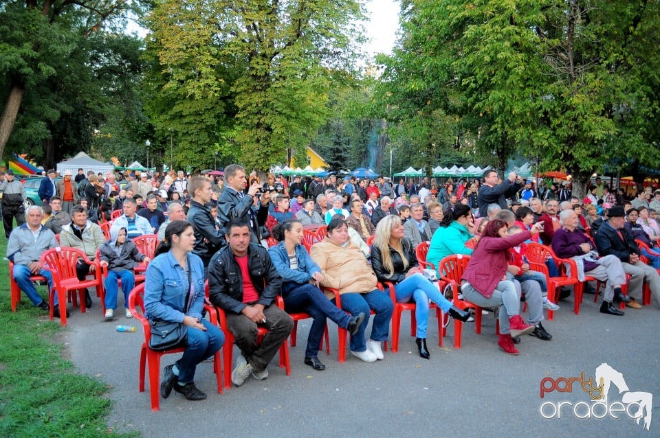 Targul Palincarilor, Oradea