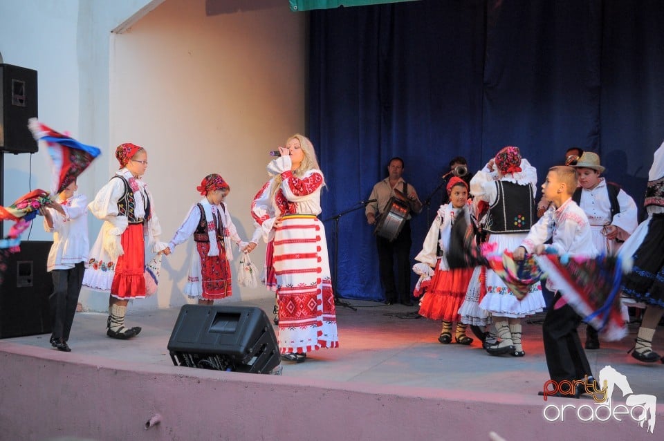 Targul Palincarilor, Oradea