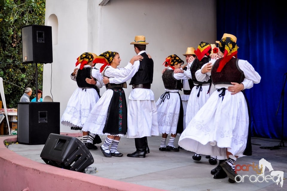 Targul Palincarilor, Oradea