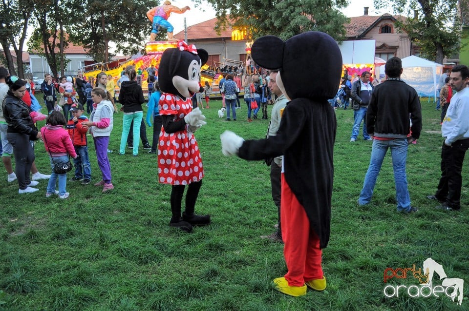 Targul Palincarilor, Oradea