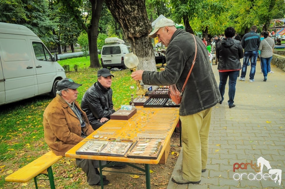 Targul Palincarilor, Oradea