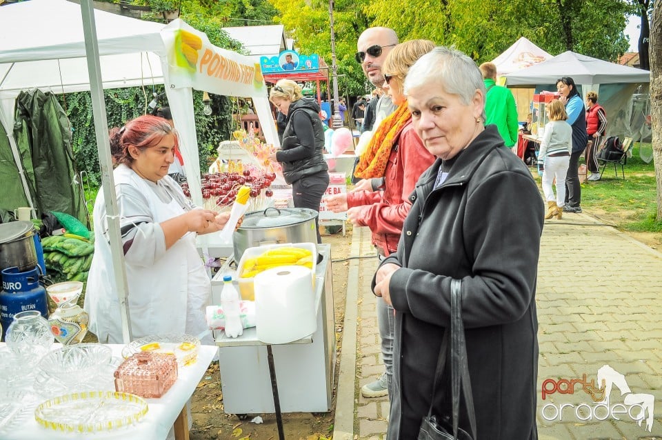 Targul Palincarilor, Oradea