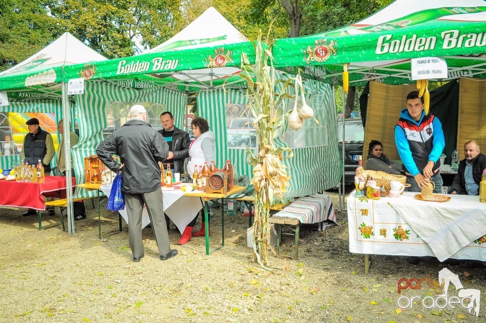 Targul Palincarilor, Oradea