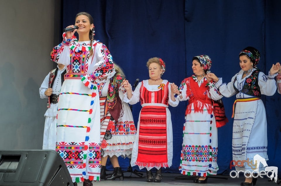 Targul Palincarilor, Oradea