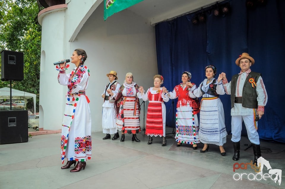 Targul Palincarilor, Oradea