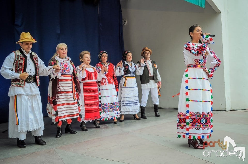 Targul Palincarilor, Oradea