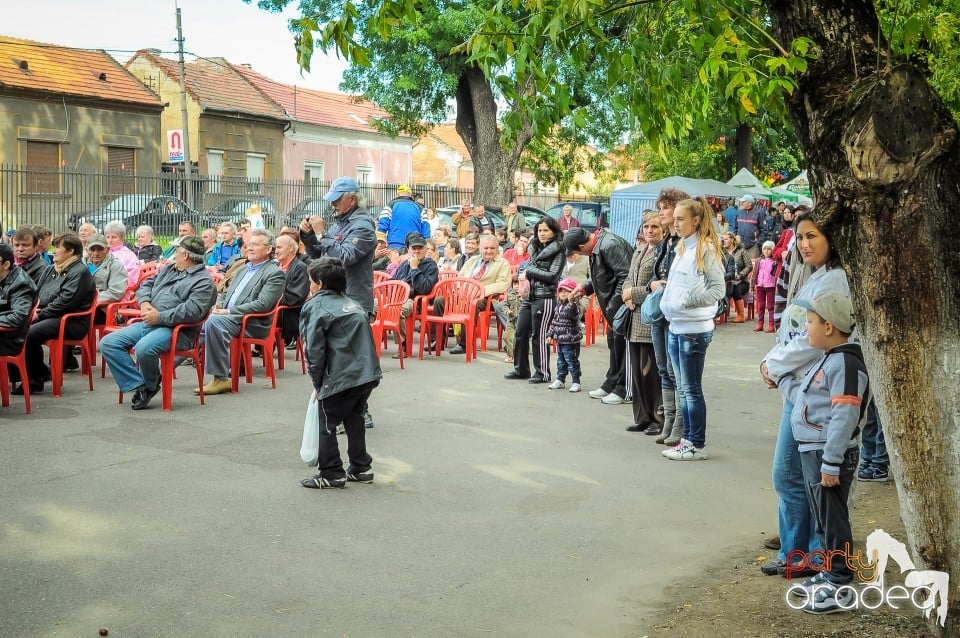 Targul Palincarilor, Oradea