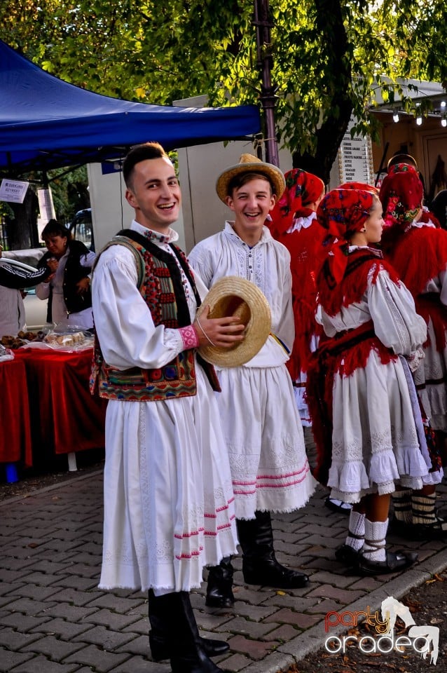 Targul Palincarilor, Oradea