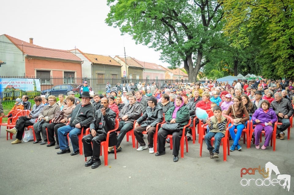 Targul Palincarilor, Oradea