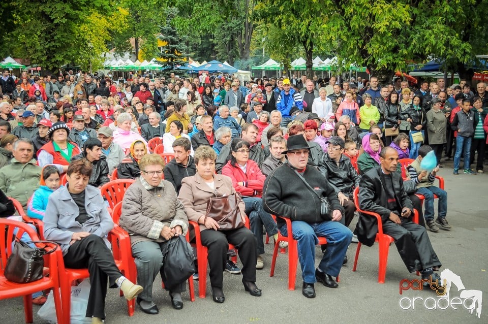 Targul Palincarilor, Oradea