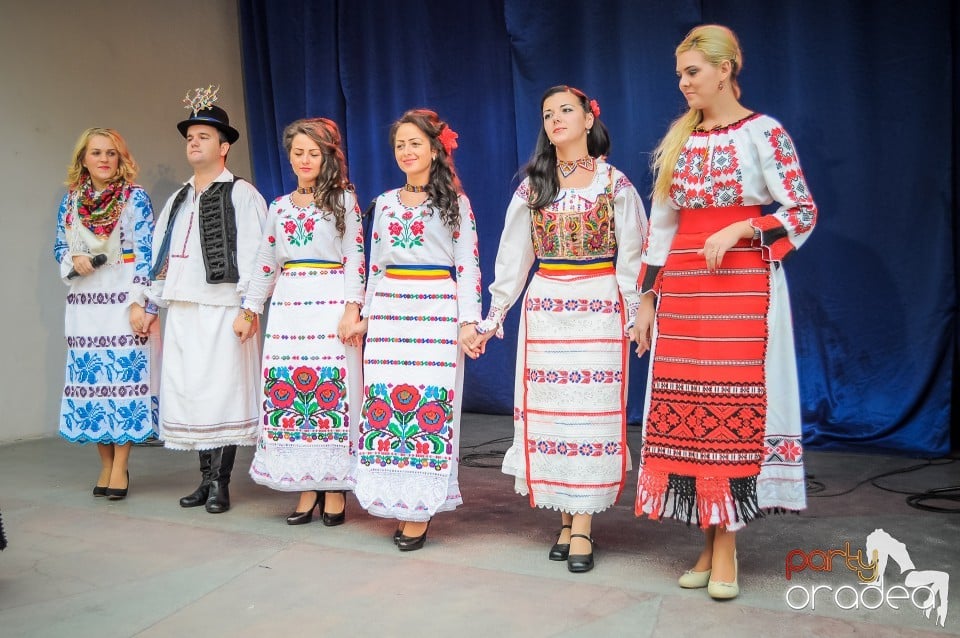 Targul Palincarilor, Oradea